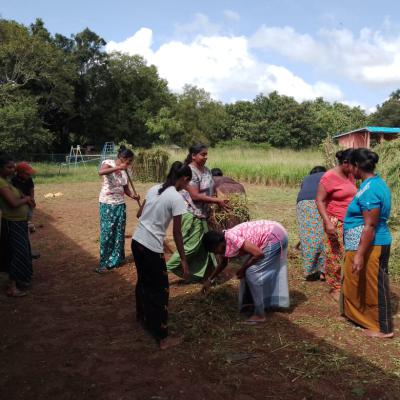 2025 පාසල් ශ්‍රමදානය